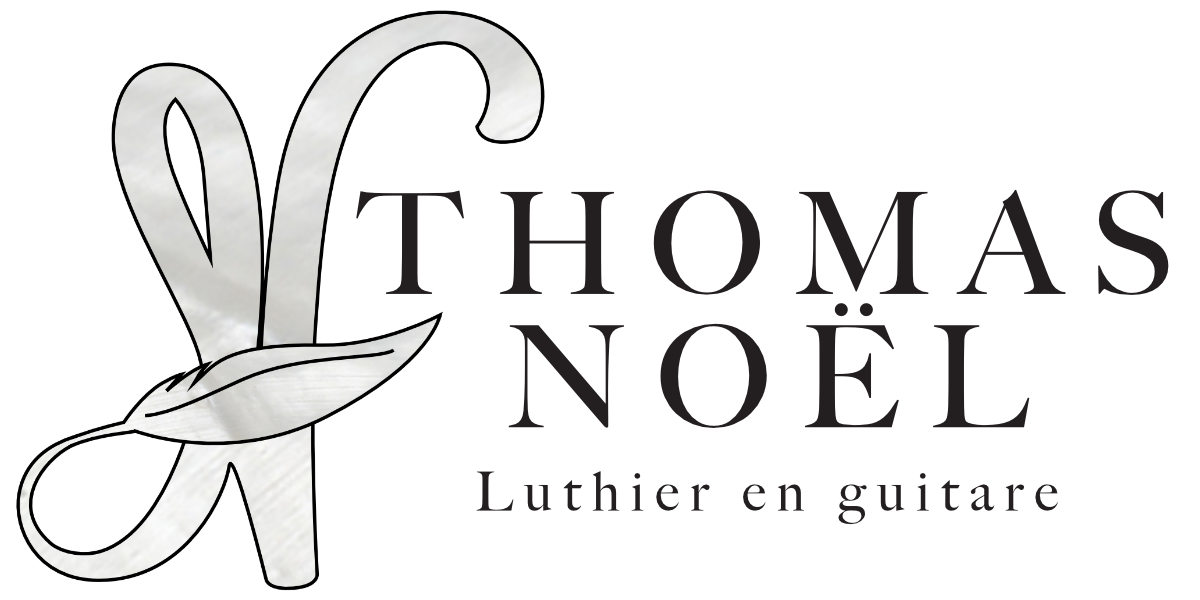Logo Thomas Noël